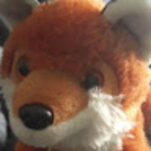 Meet your Posher, Foxcuh